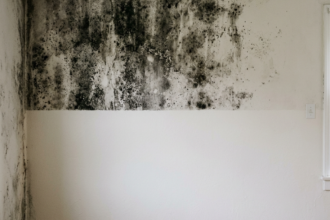 mucegai pe perete în casă înainte și după curățare